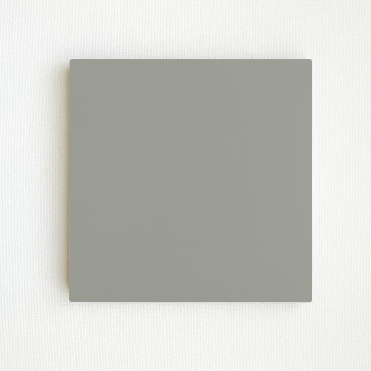 Matte Revere Grey Slab Sample